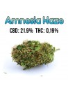 Amnesia Haze