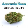 Amnesia Haze