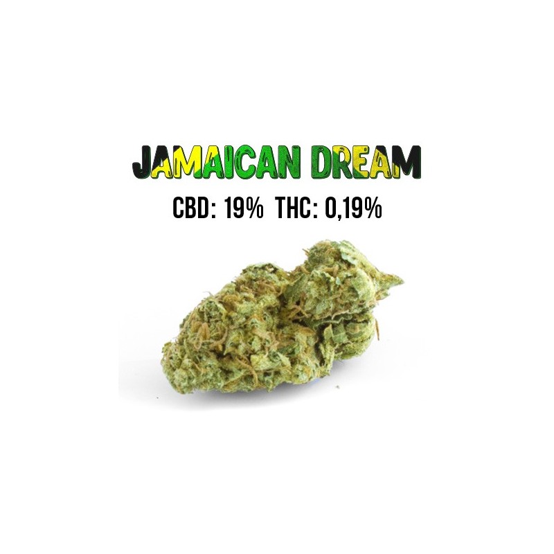 Jamaican Dream