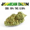 Jamaican Dream