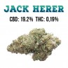 Jack Herer