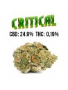 Critical