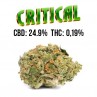 Critical