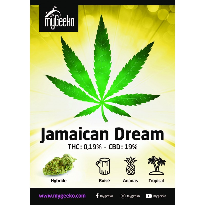 Jamaican Dream