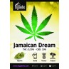 Jamaican Dream