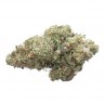 Jack Herer