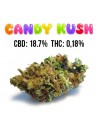 Candy Kush