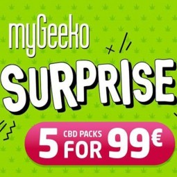 myGeeko Surprise