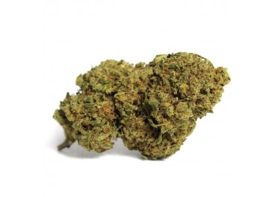 Découvrez la variété d'herbe de CBD Amnesia Haze