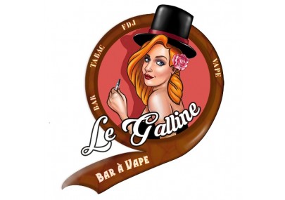 La Galinne in Villeurbanne: Tobacco bar, vape products, and Wiz Hybrid Vaporizer