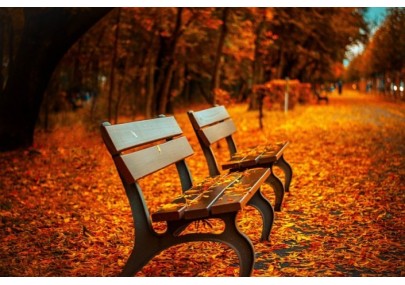 Advantages of Dry Herb Vaporizers in Autumn