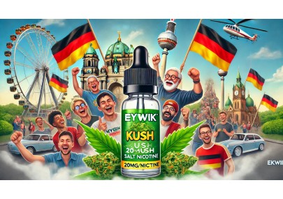 eKwik: A Resounding Commercial Success in Germany!
