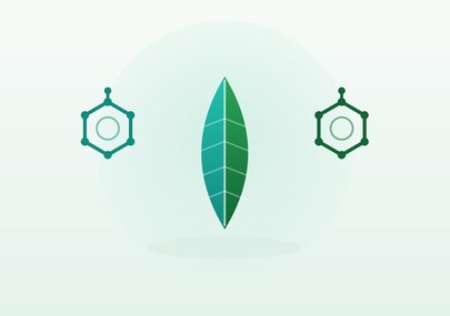 CBD vs THC : comprendre les différences et les effets