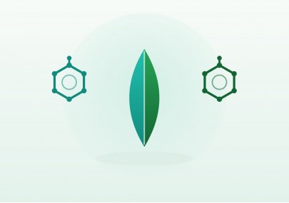 L'art de déguster le CBD : terpènes, arômes et nuances en 2026
