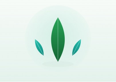 Le chanvre au quotidien : une fibre naturelle aux mille usages