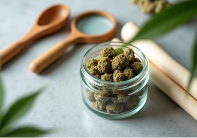 Fleurs de CBD en Europe en 2026 : légalité, usage et bonnes pratiques